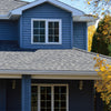 A blue house with a dormer, gray shingle roof, 20% VLT static cling tinted windows, and yellow-leafed tree branches.